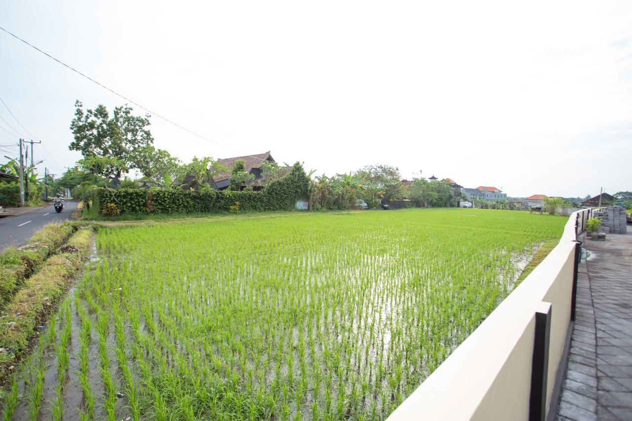 V Canggu Dormitory Luaran gambar